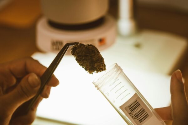 Cannabis Laws & Workplace Drug Testing